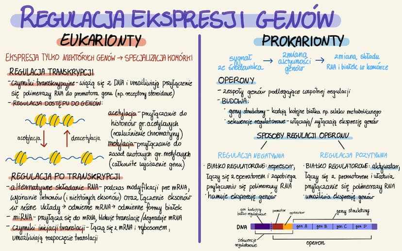 GENY I GENOMY
GENY
1) STRUKTURA
-części stmulduralne: introny + eksony
- części regulatorowe (regulacja odczytu)
- introny i cz. regulatorow