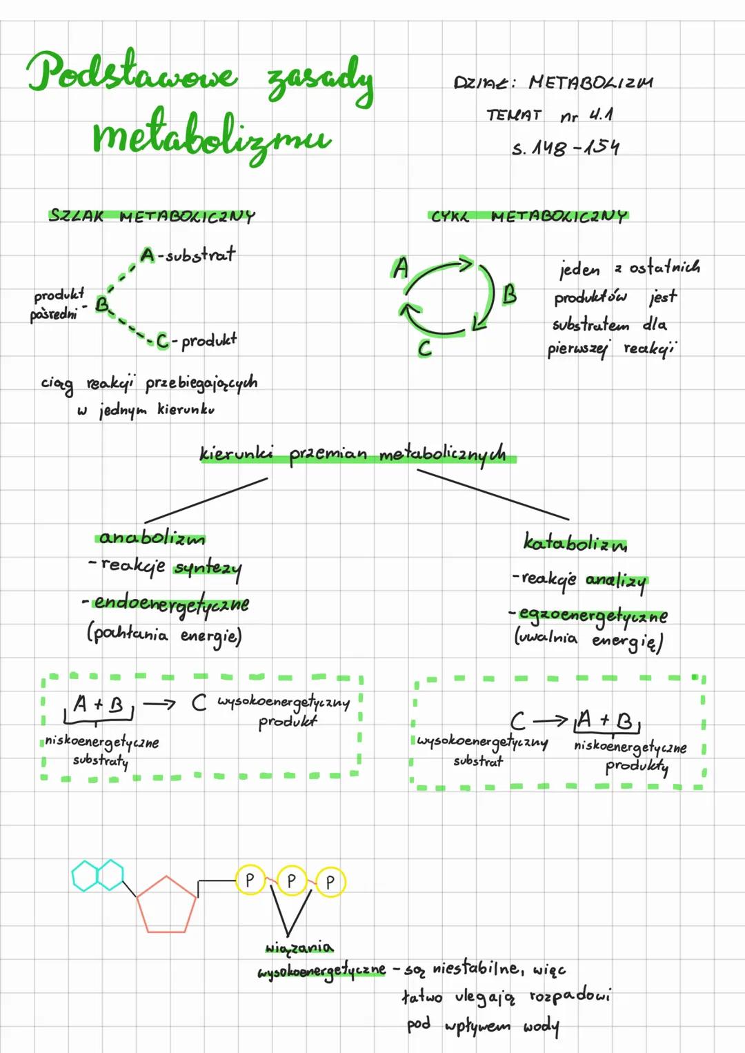 # Podstawowe zasady
metabolizmu

SZLAK METABOLICZNY

produkt B
posredni

A-substrat

---C-produkt

ciąg reakcji przebiegających
w jednym kie