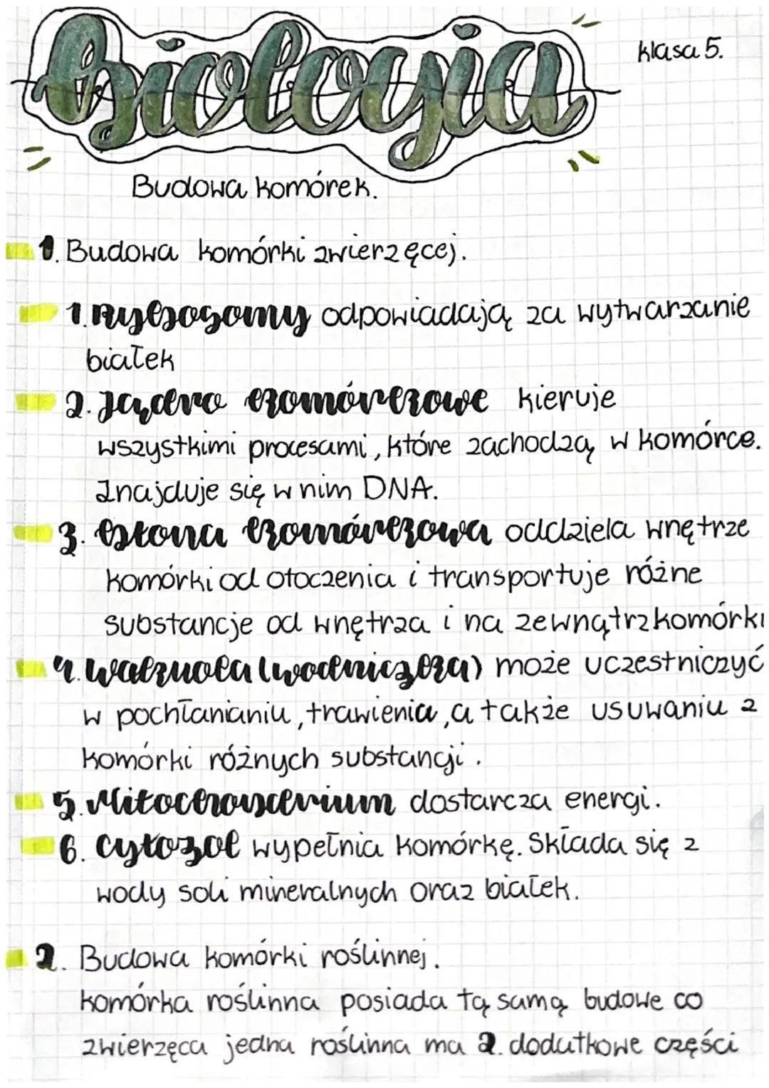 Criofceria
Budowa komórek.
=
klasa 5.
1. Budowa komórki zwierzęce).
1. Ryesogomy odpowiadają za wytwarzanie
białek
2. Jadro ezomóvezowe kier