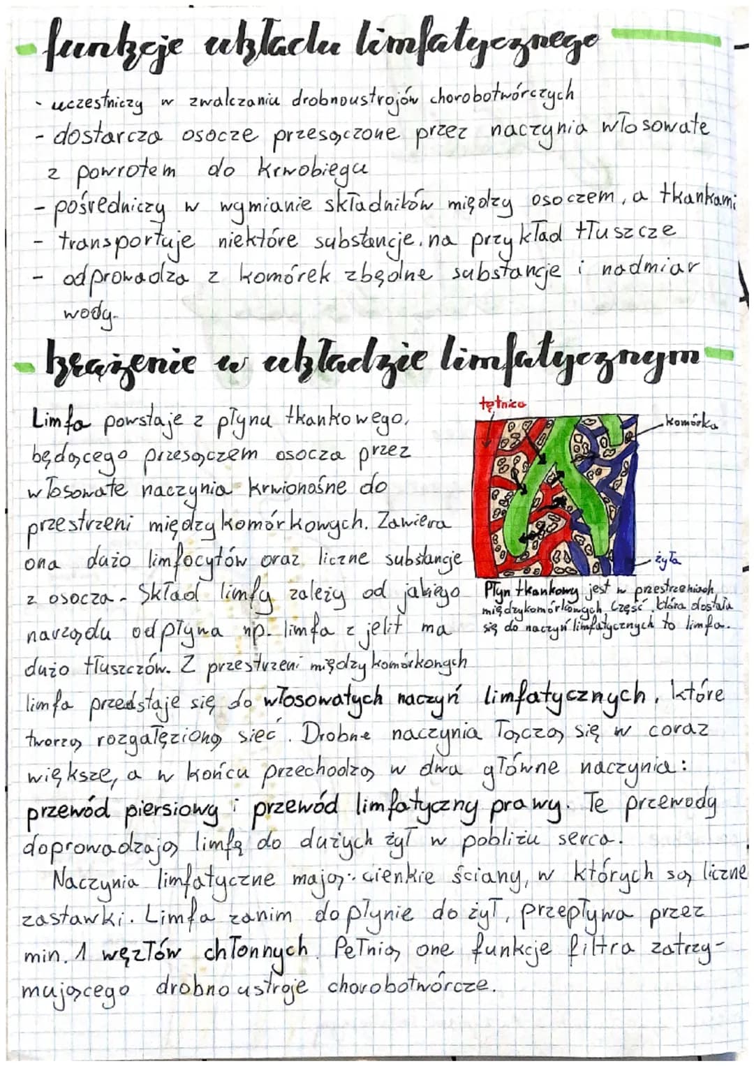 Układ
limfatly egpz
budowa uktadur
limfatycznego
Układ limfatyczny składa się z
naczyń limfatycznych, w których znajduje
się płyn zmany limf