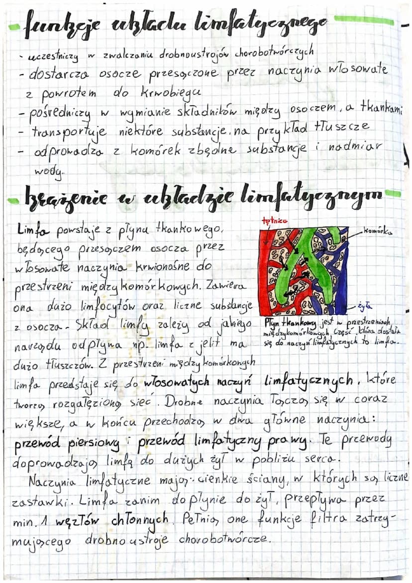 Układ
limfatly egpz
budowa uktadur
limfatycznego
Układ limfatyczny składa się z
naczyń limfatycznych, w których znajduje
się płyn zmany limf