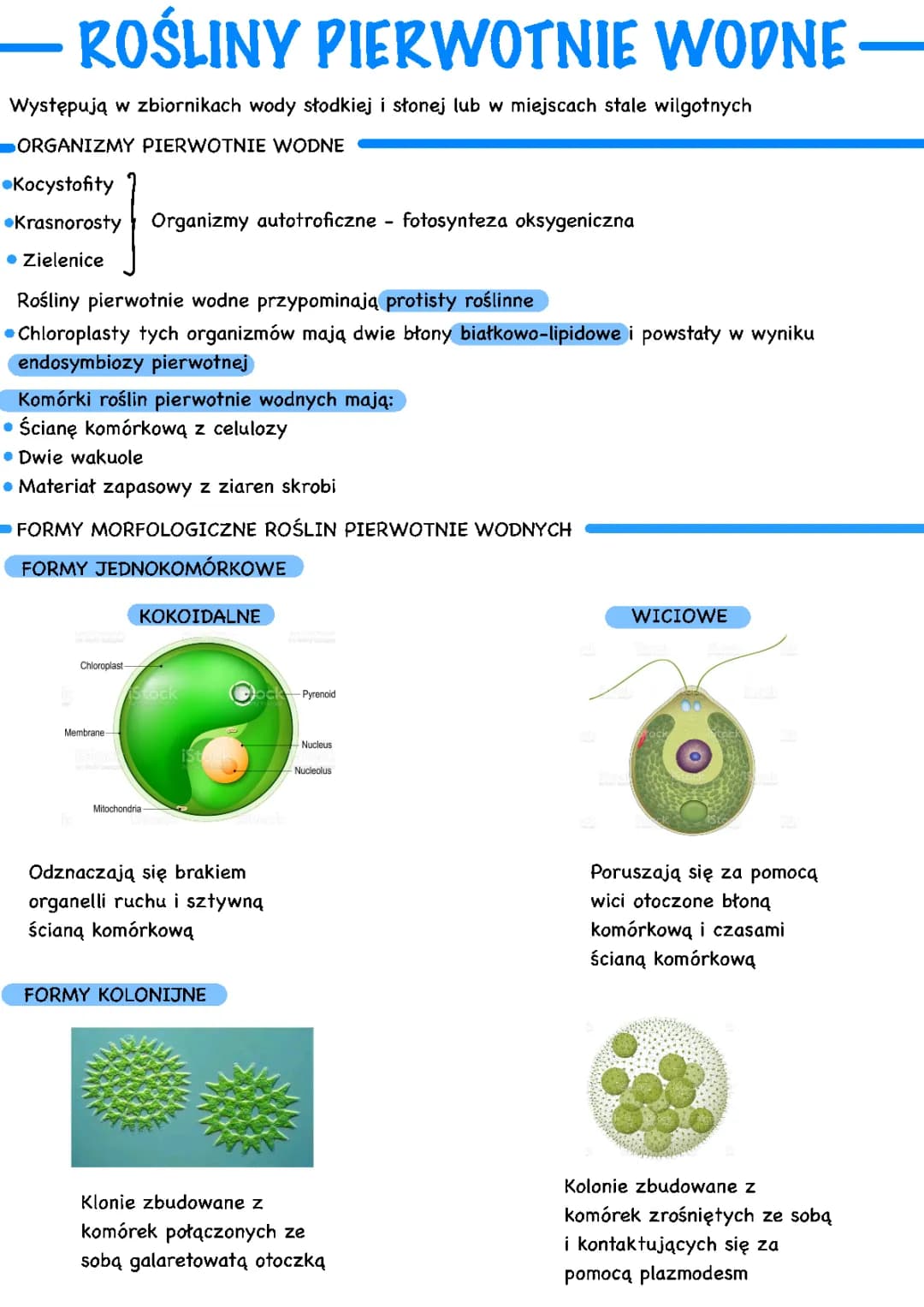Rośliny pierwotnie wodne i ich endosymbioza - Test, Budowa, Glony, Krasnorosty