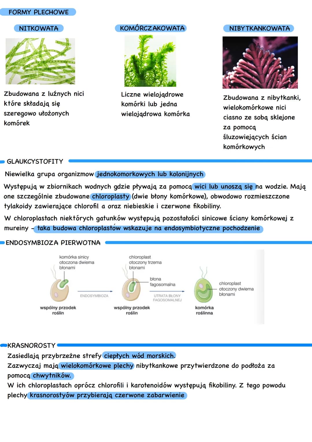 ROŚLINY PIERWOTNIE WODNE
Występują w zbiornikach wody słodkiej i słonej lub w miejscach stale wilgotnych
ORGANIZMY PIERWOTNIE WODNE
•Kocysto