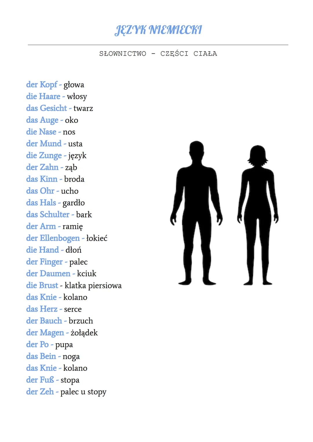 der Kopf- głowa
die Haare - włosy
das Gesicht - twarz
das Auge - oko
die Nase-nos
der Mund- usta
die Zunge - język
der Zahn - ząb
das Kinn-b