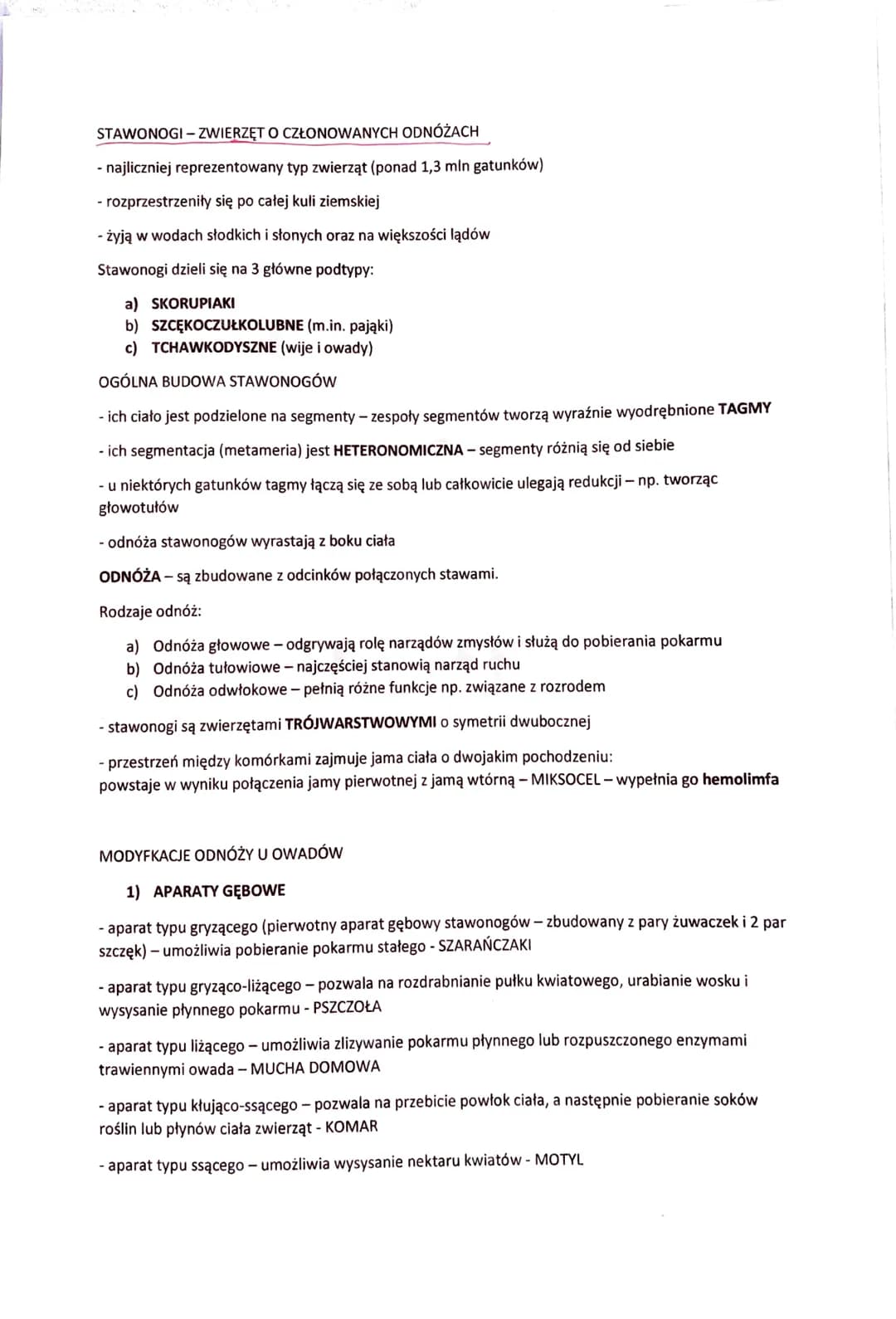 STAWONOGI -ZWIERZĘT O CZŁONOWANYCH ODNÓŻACH
- najliczniej reprezentowany typ zwierząt (ponad 1,3 mln gatunków)
- rozprzestrzeniły się po cał