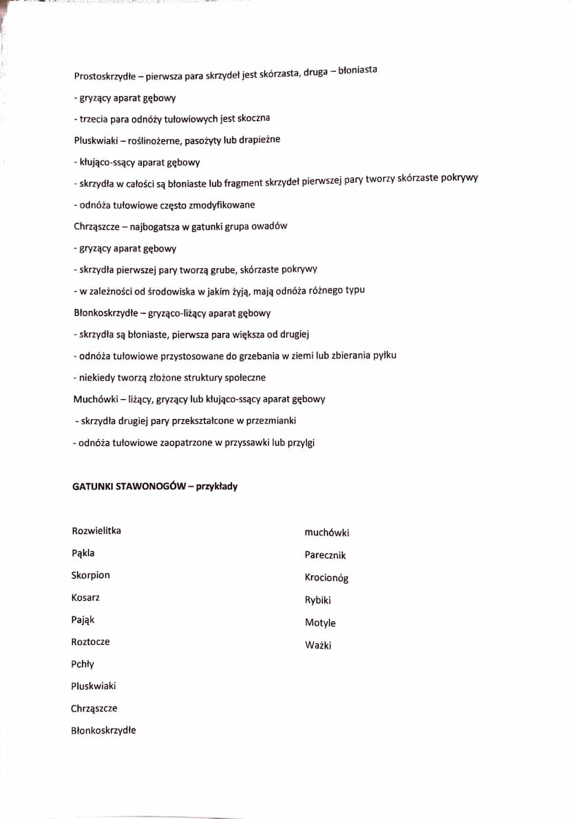 STAWONOGI -ZWIERZĘT O CZŁONOWANYCH ODNÓŻACH
- najliczniej reprezentowany typ zwierząt (ponad 1,3 mln gatunków)
- rozprzestrzeniły się po cał