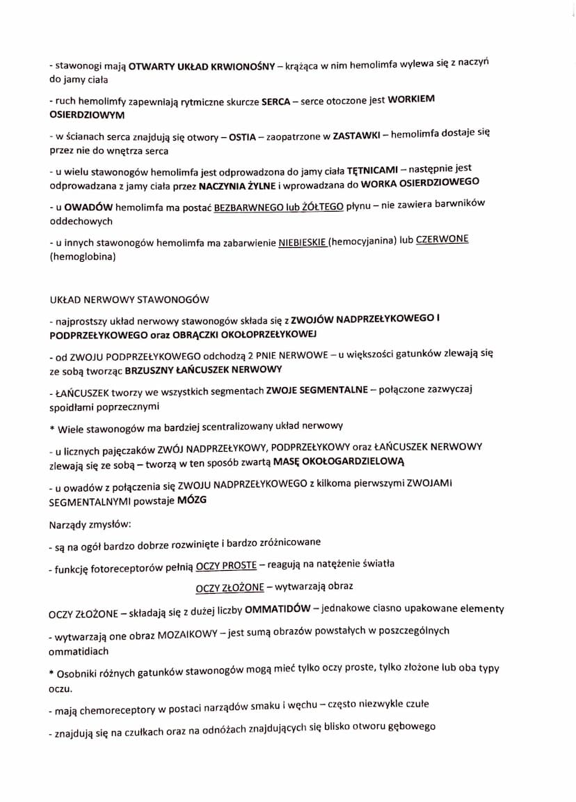 STAWONOGI -ZWIERZĘT O CZŁONOWANYCH ODNÓŻACH
- najliczniej reprezentowany typ zwierząt (ponad 1,3 mln gatunków)
- rozprzestrzeniły się po cał