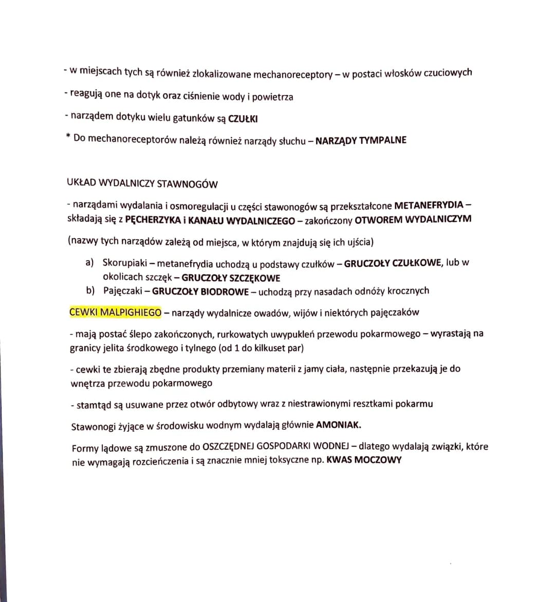 STAWONOGI -ZWIERZĘT O CZŁONOWANYCH ODNÓŻACH
- najliczniej reprezentowany typ zwierząt (ponad 1,3 mln gatunków)
- rozprzestrzeniły się po cał