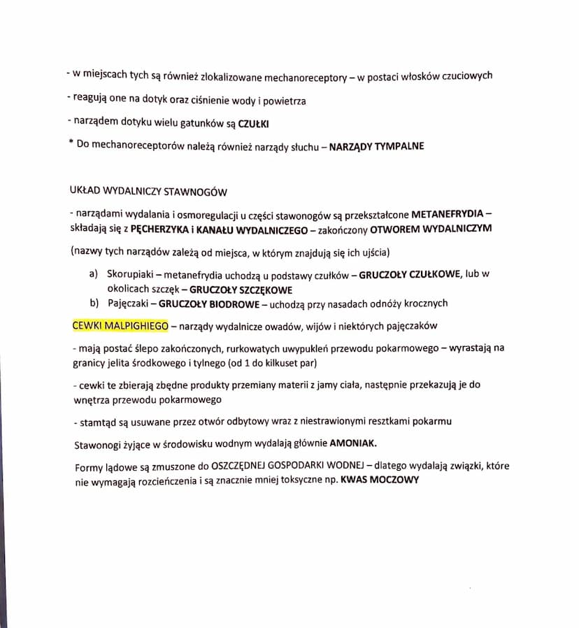 STAWONOGI -ZWIERZĘT O CZŁONOWANYCH ODNÓŻACH
- najliczniej reprezentowany typ zwierząt (ponad 1,3 mln gatunków)
- rozprzestrzeniły się po cał
