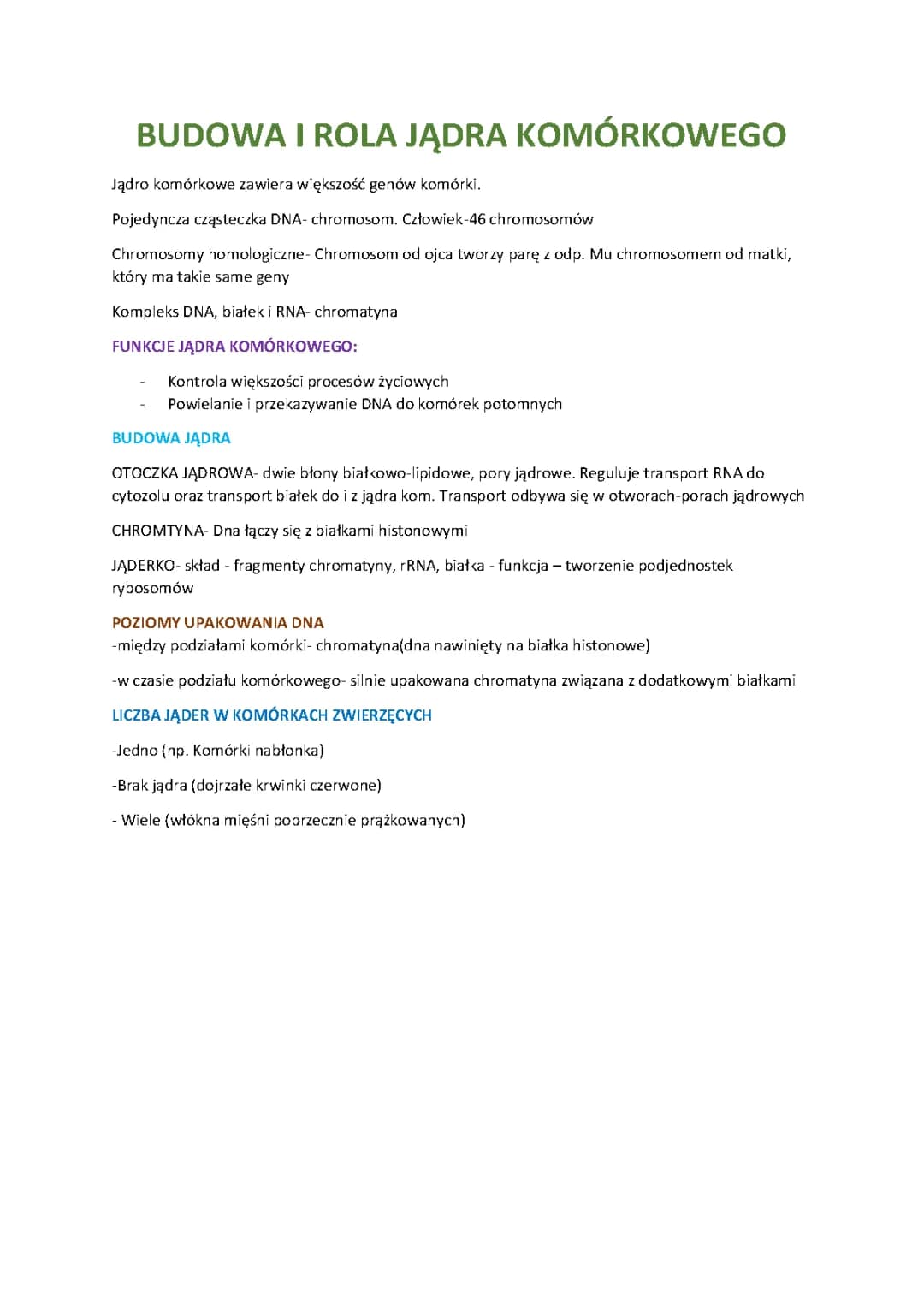 Biologia - budowa i rola jądra komórkowego 
