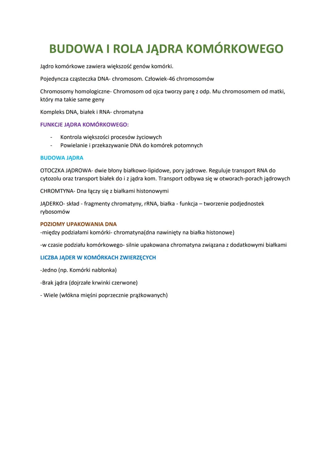 BUDOWA I ROLA JĄDRA KOMÓRKOWEGO
Jądro komórkowe zawiera większość genów komórki.
Pojedyncza cząsteczka DNA- chromosom. Człowiek-46 chromosom
