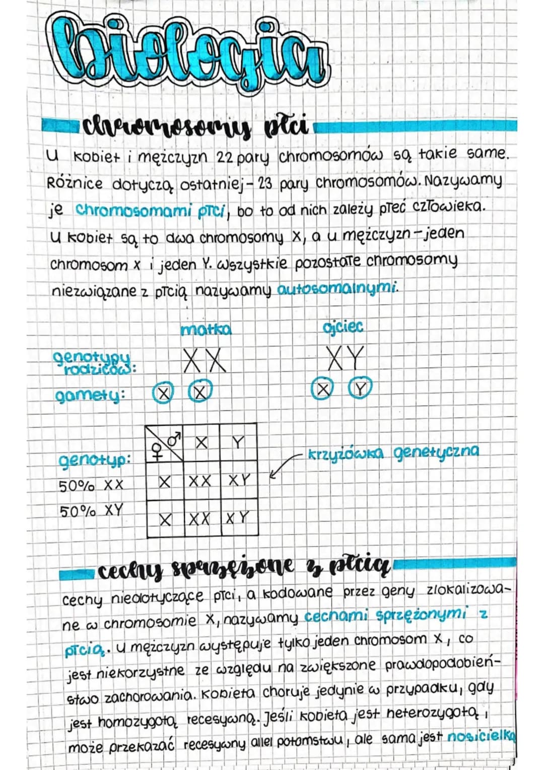 Caielection
chreomosomy płci
U kobiet i mężczyzn 22 pary chromosomów są takie same.
Różnice dotyczą ostatniej - 23 pary chromosomów. Nazywam