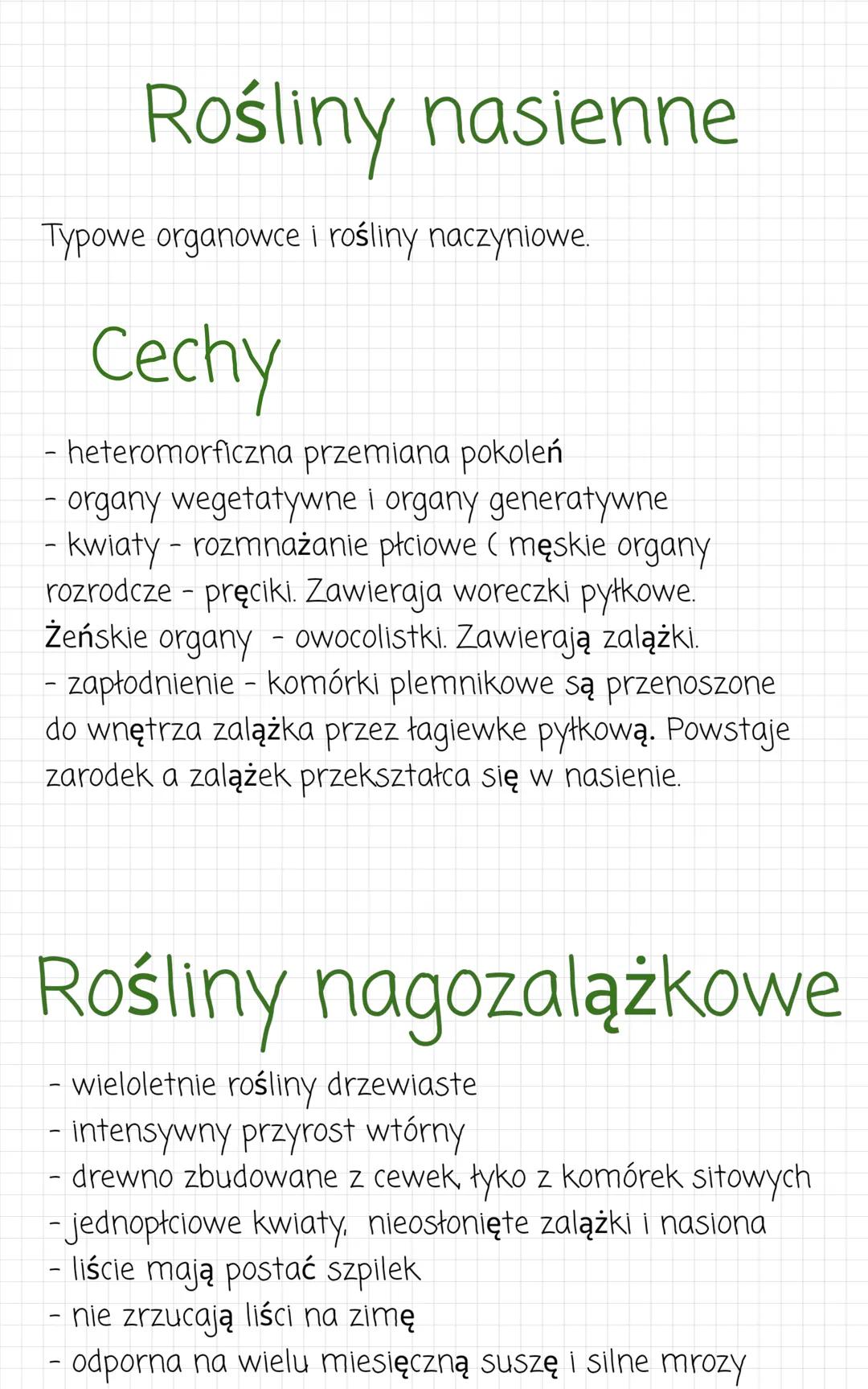 Rośliny nasienne
Typowe organowce i rośliny naczyniowe.
Cechy
- heteromorficzna przemiana pokoleń
organy wegetatywne i organy generatywne
- 