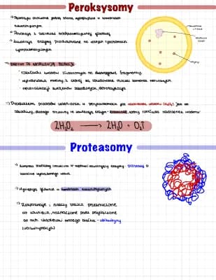 Know Peroksysomy i Proteasomy thumbnail