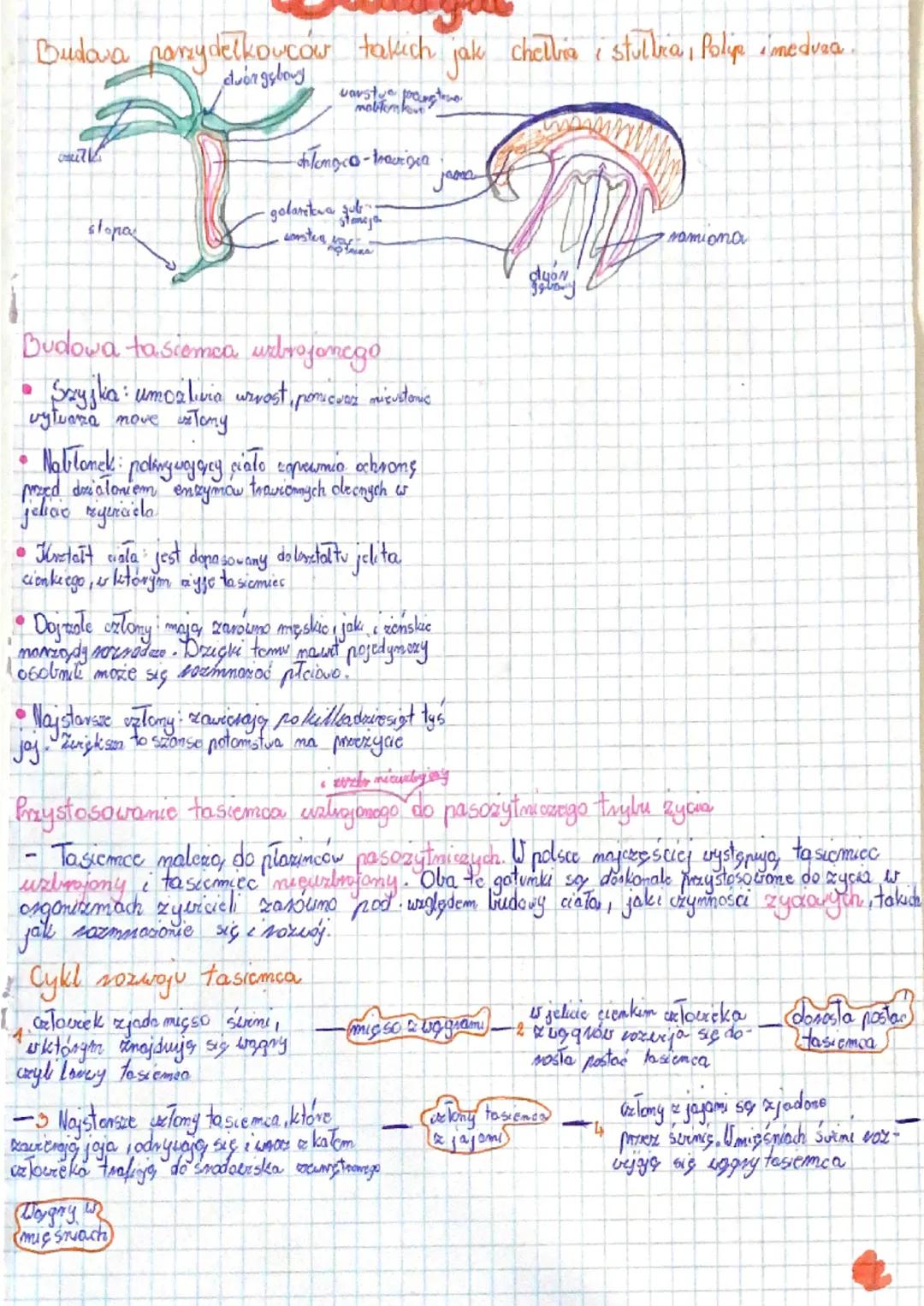 Budova parzydelkowcow takich jak chella istullka, Polipe medvaa
warstuc thang tran
mobifonkout
omil
stopa
- Tongco-trair gra
·golartova şub
