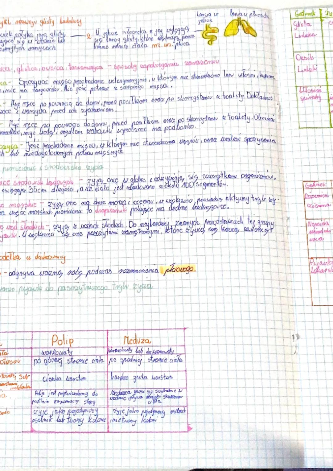 Budova parzydelkowcow takich jak chella istullka, Polipe medvaa
warstuc thang tran
mobifonkout
omil
stopa
- Tongco-trair gra
·golartova şub

