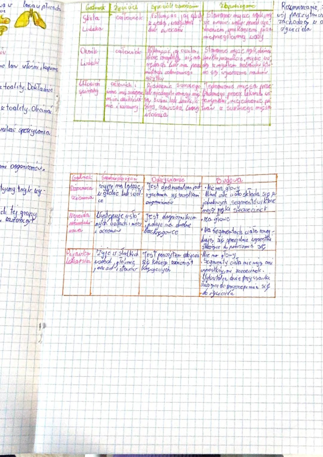 Budova parzydelkowcow takich jak chella istullka, Polipe medvaa
warstuc thang tran
mobifonkout
omil
stopa
- Tongco-trair gra
·golartova şub
