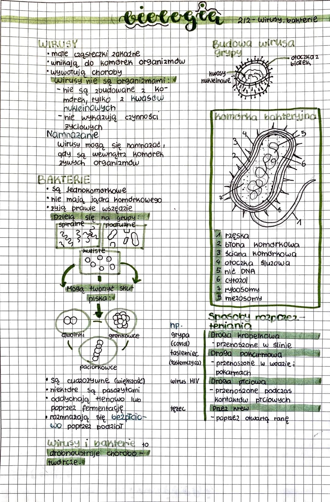 # bielogia

WIRUSY

•mate cząsteczki zakażne

• wnikają do kamøren organizmów

• wywołują choroby

wirusy nie są organizmami:

-hie są zbudo