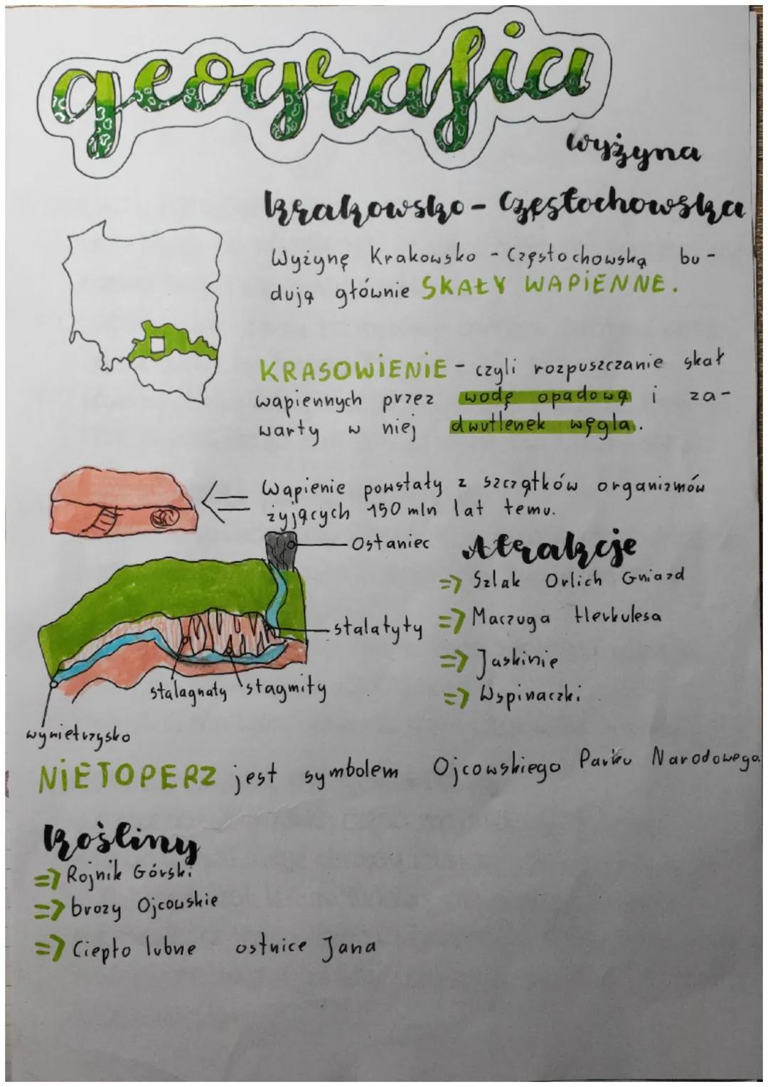 # geografia

wynietrzysko

Wyżyna

Brakowsko-zestochowska

Wyżynę Krakowsko-Częstochowską bu-
dują głównie SKAŁY WAPIENNE.

KRASOWIENIE - cz