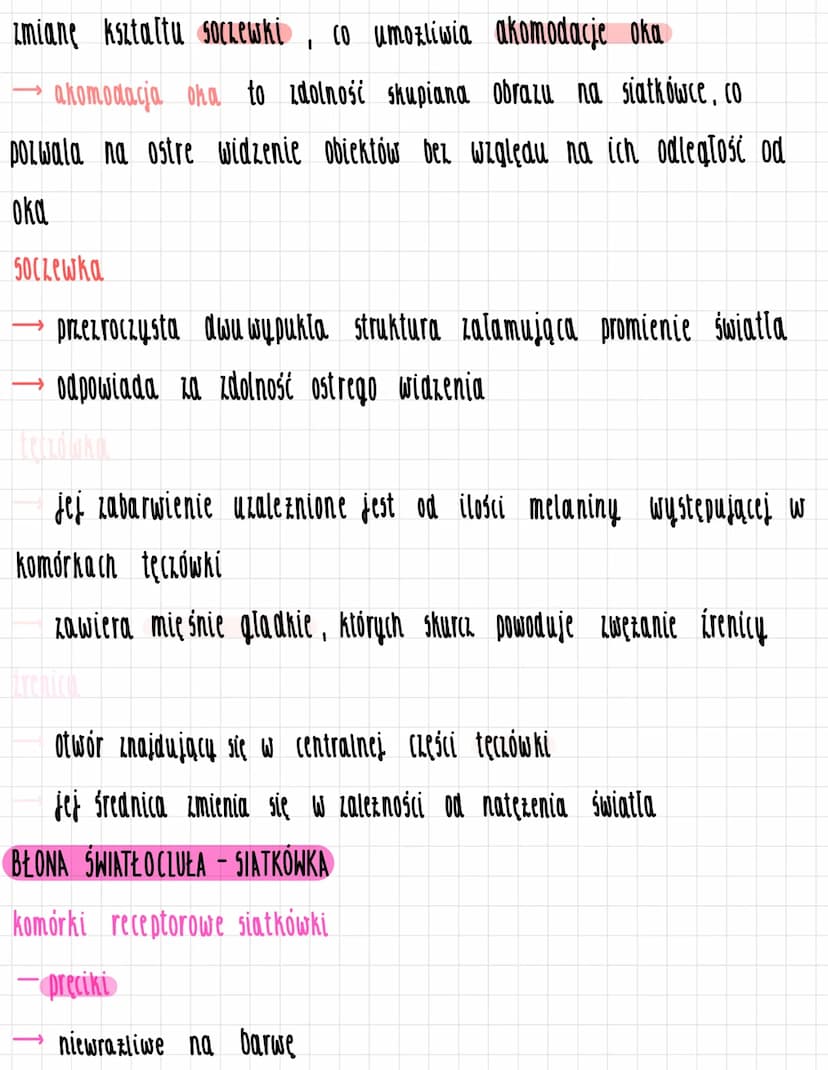 Budowa i działanie oka
twardówka
ciało rzęskowe
BUDOWA GAŁKI OCZNEJ
wypełniona cialem szklistym / galaretowaty plyn)
ściana - blony
tęczówka