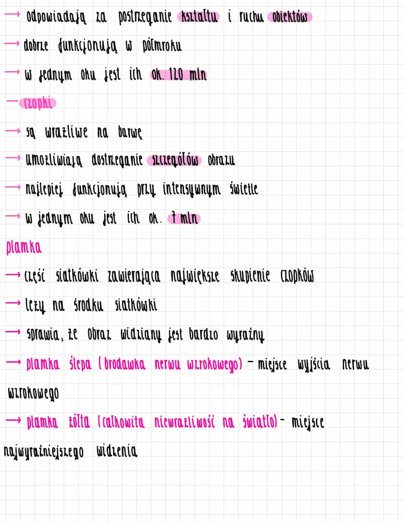 Budowa i działanie oka
twardówka
ciało rzęskowe
BUDOWA GAŁKI OCZNEJ
wypełniona cialem szklistym / galaretowaty plyn)
ściana - blony
tęczówka