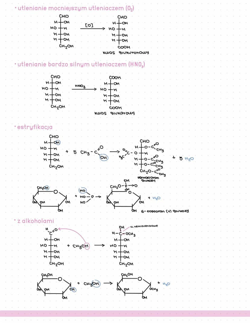 ALDOZY
-C₂H²
niehydrolizujace
(proste)
trioga
aidotrioza
Ketotrioza
C34603
Сандод
CsHo Os
aidotetroza
alaopentoza
• Ketotetroza
• Ketopentoz