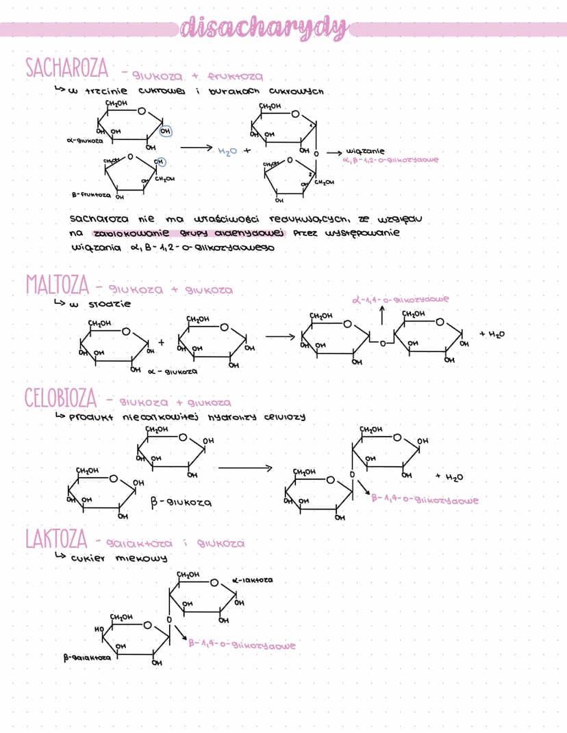ALDOZY
-C₂H²
niehydrolizujace
(proste)
trioga
aidotrioza
Ketotrioza
C34603
Сандод
CsHo Os
aidotetroza
alaopentoza
• Ketotetroza
• Ketopentoz