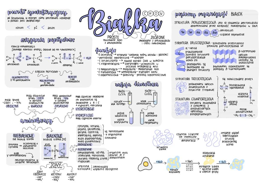 Białka.