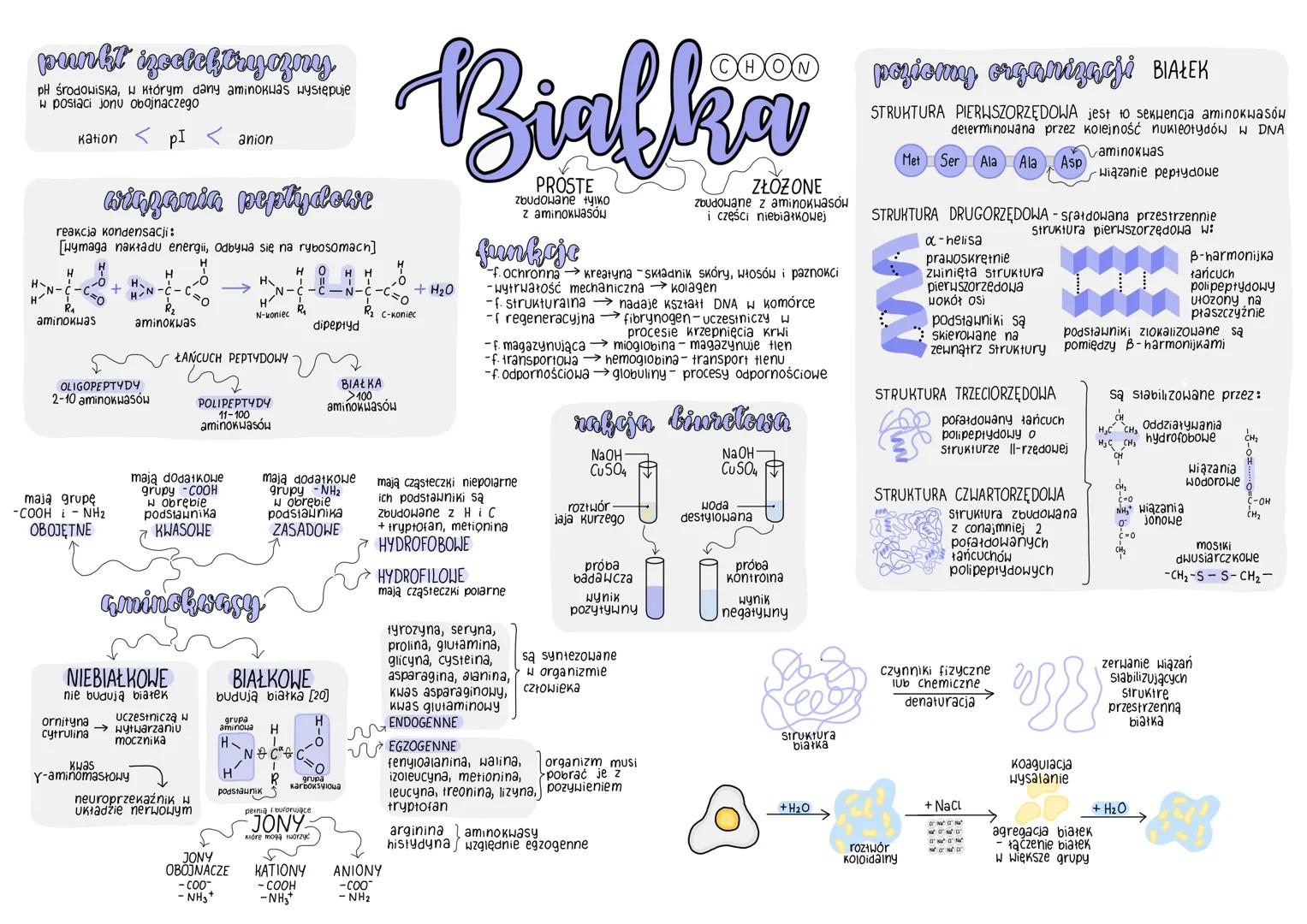 punkt izcetchtryczny
pH środowiska, W Którym dany aminokwas występuje
w postaci jonu obojnaczego
kation < PI
H-
N.
reakcja kondensacji:
[Wym