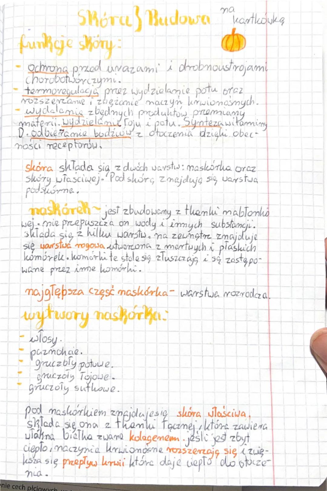 Skóra biologia
