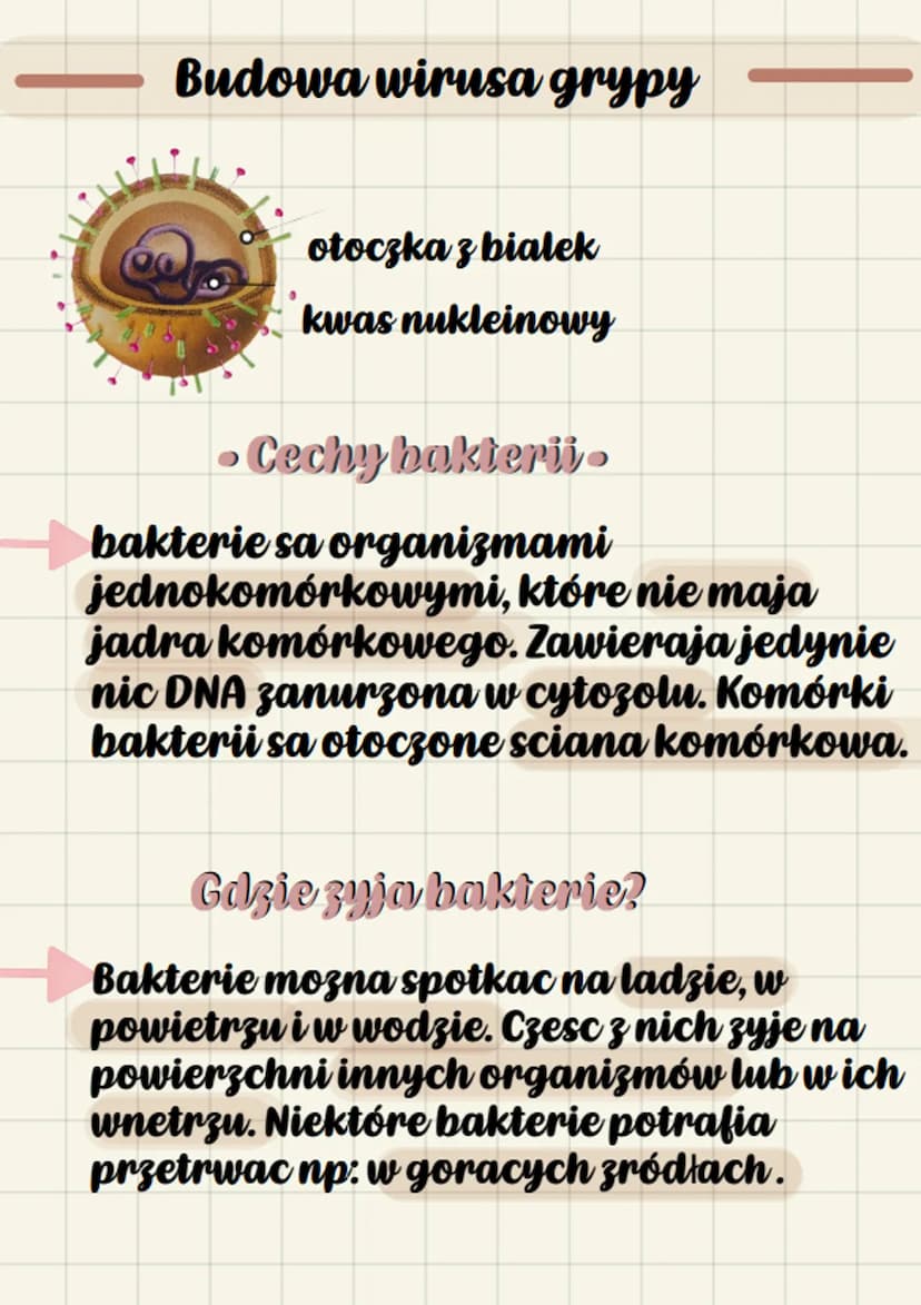 beologra
Wirucy i balerie
w i v u SY
to male czastki zakazne, które
potrafia wnikac do komórek
organizmów i wywolac ich choroby.
Atakuja ros