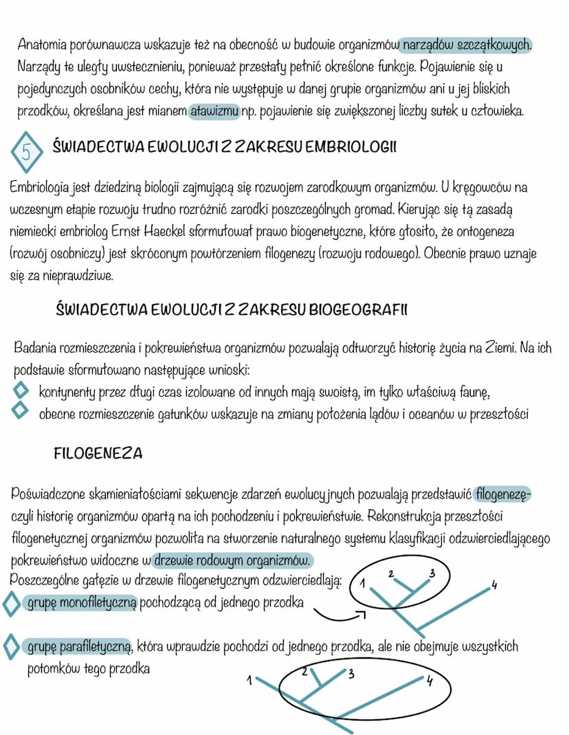 
<p>Ewolucja organizmów polega na powolnych zmianach w świecie żywym, które doprowadzają do transformacji form organizmów poprzez procesy ni
