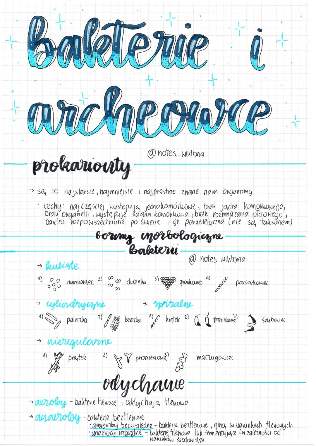 # Bakterie i

archeowce

prokarionty

@notes_wiktoria

- sa to najstarsze, najmniejsze i najprostne znane nam organizmy
- cechy: najczęściej