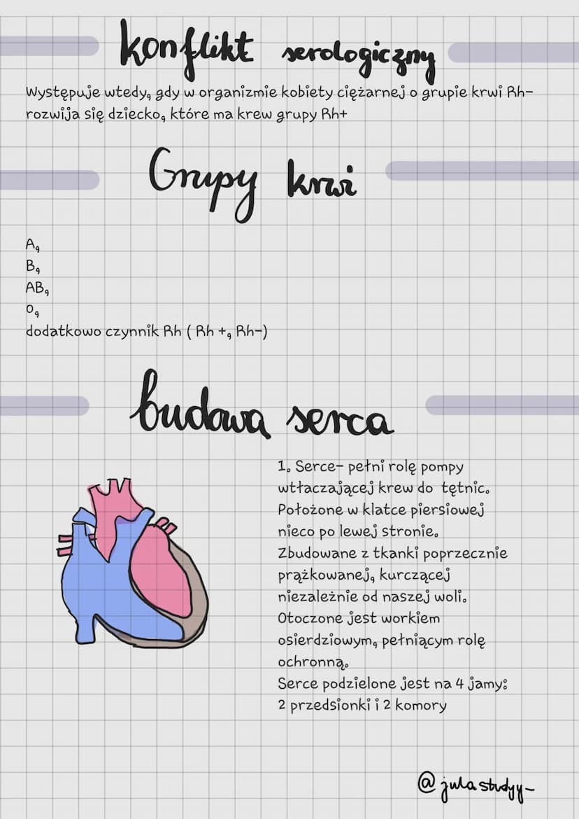 Układ
krążenia
@jula studyy- Krew
tkankynna o żółtawym zabarwieniu osocza, oraz zawartych w nim
elementów morfotycznych: krwinek i płytek kr