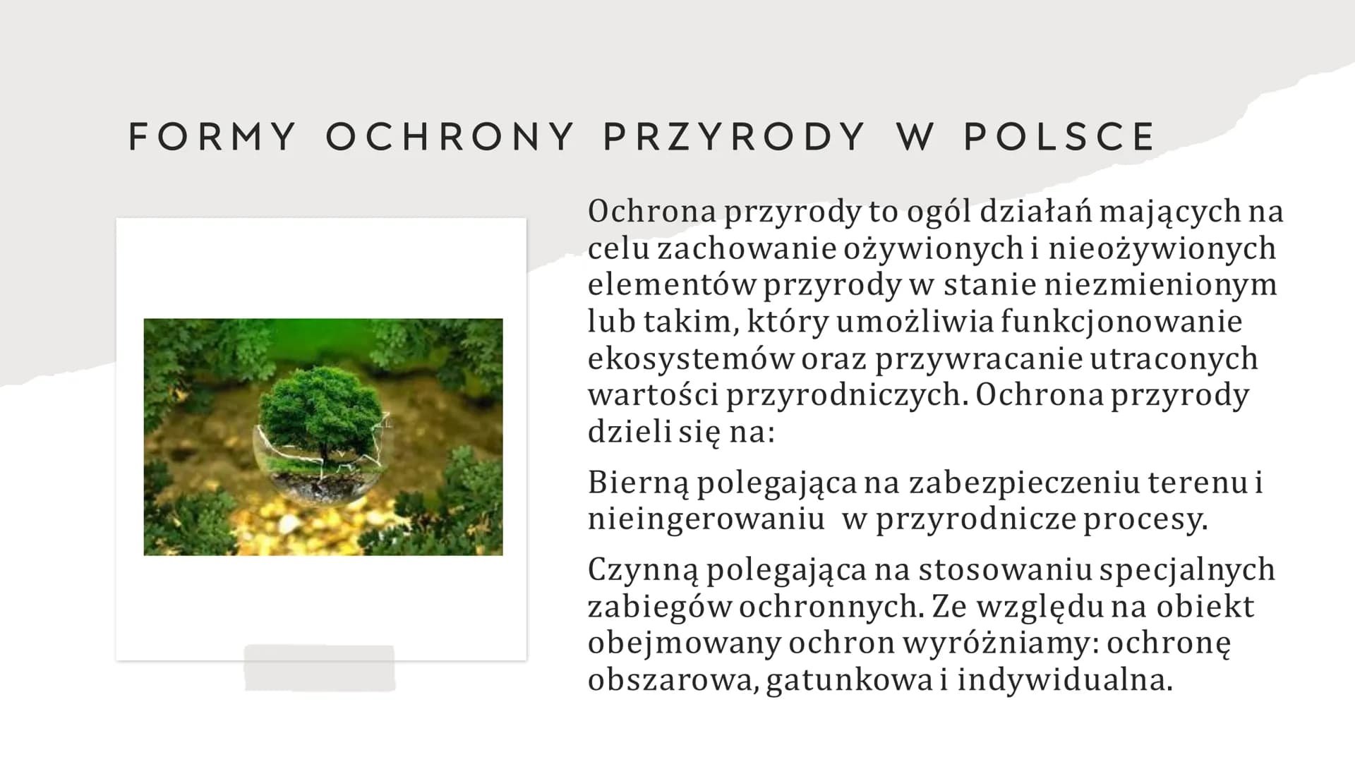 OCHRONA
RÓŻNORODNOŚĆI
BIOLOGICZNEJ
Patrycja Parzyjagła 3a DLACZEGO ZACHOWANIE
RÓŻNORODNOŚĆI
WAŻNE?
BCHOEK
BIOLOGICZNEJ JEST
Róznorodność bio