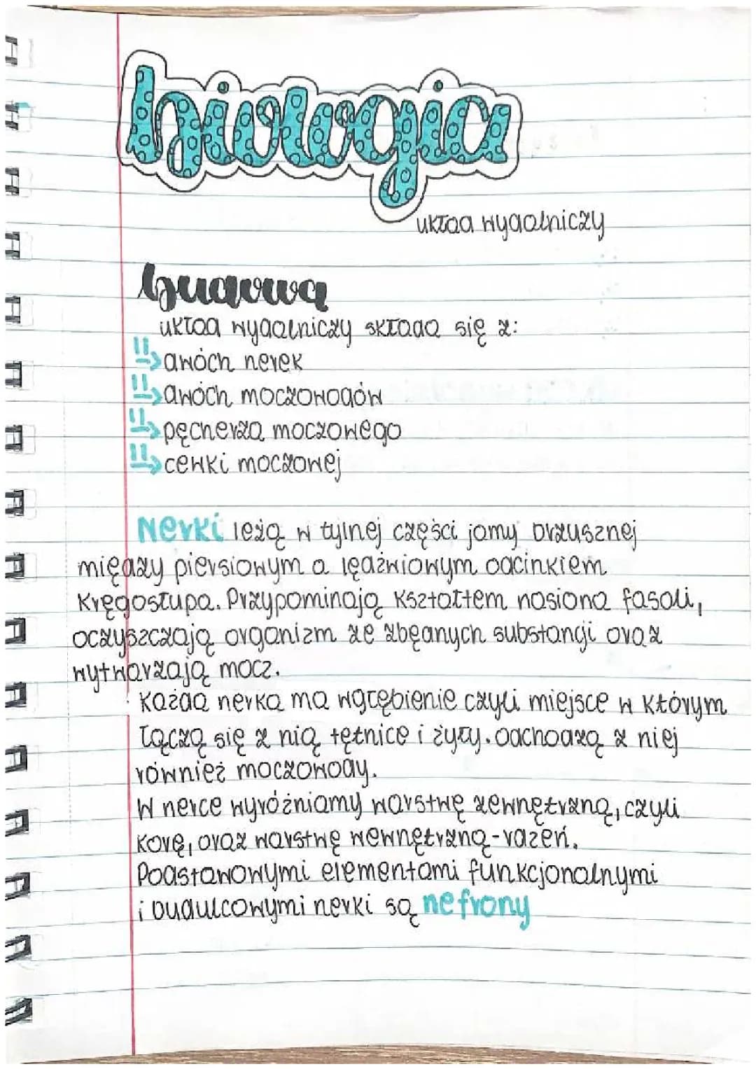 Biologia-układ wydalniczy 
