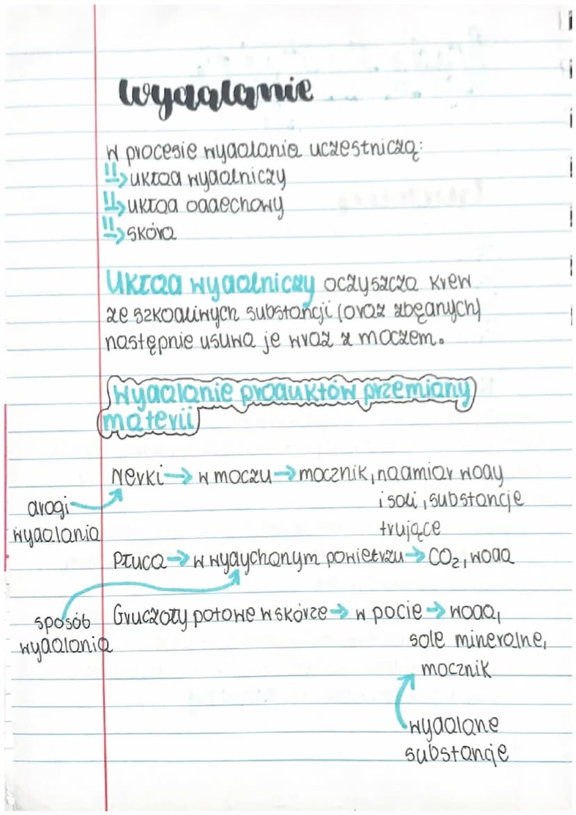 H
Guawa
1
=
1
H
1
1
biologia
A A A A A
ukłaa wydalniczy
układ wydalniczy składa się z:
awoch nerek
Hawoch moczONOGÓW
11
11
pęcherza moczoweg