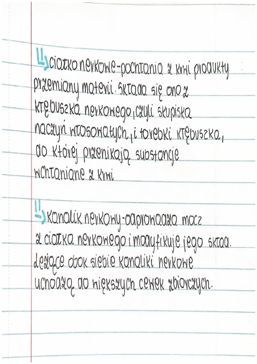 H
Guawa
1
=
1
H
1
1
biologia
A A A A A
ukłaa wydalniczy
układ wydalniczy składa się z:
awoch nerek
Hawoch moczONOGÓW
11
11
pęcherza moczoweg
