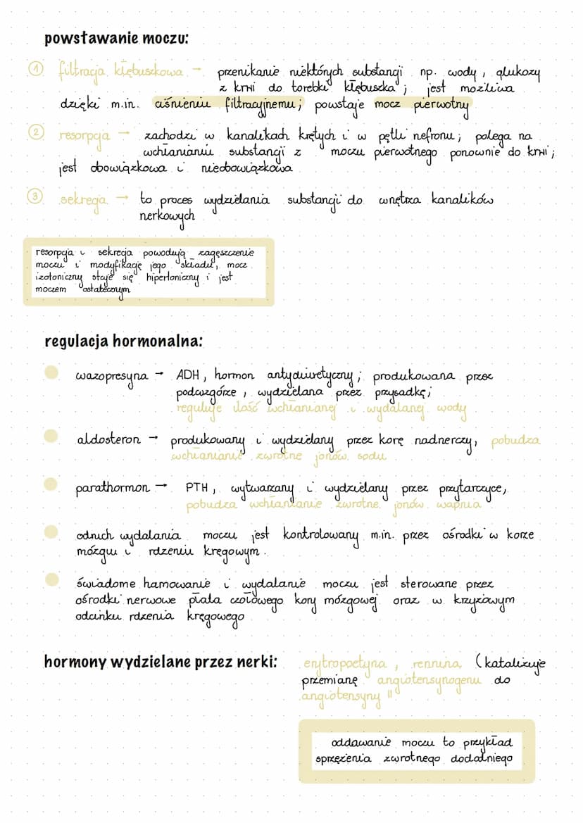 układ moczowy
osmoregulacja procesy warunkujące utrzymanie równowagi wodno- elektrolitowej
( wodno-mineralnej), czyli poziomu wody, elektrol