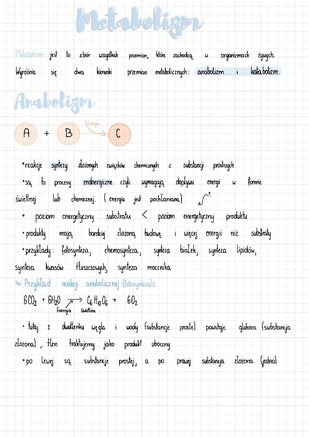 Wszystko o Metabolizmie: Anabolizm, Katabolizm i Fosforylacja