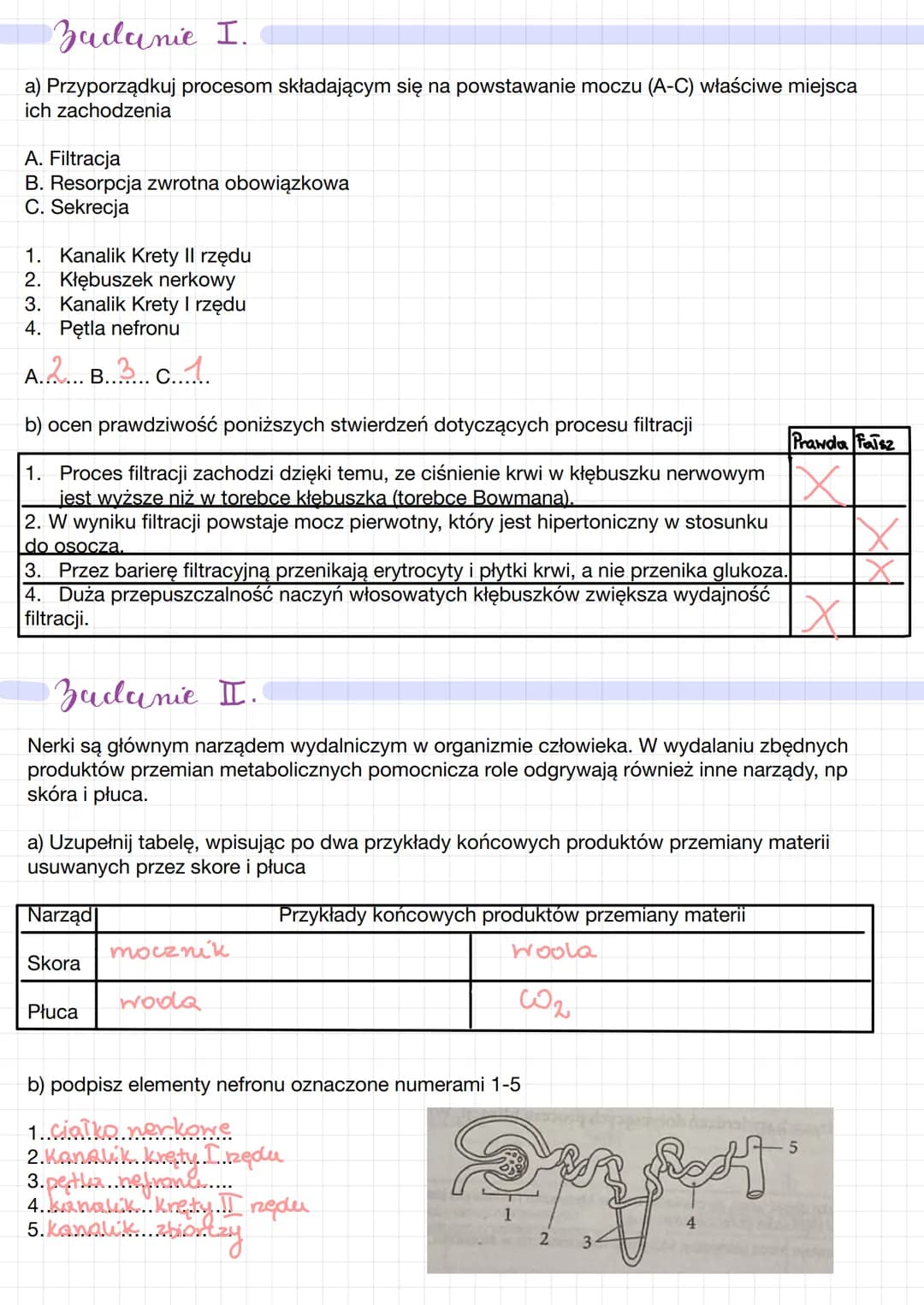Wklyel moczony
L> Hydalanie - usuwanie z organizmu zbędnych produktów przemiany materii (CO₂, H₂O, mocznik)
Lo usuwanie ksenobiotyków (subst