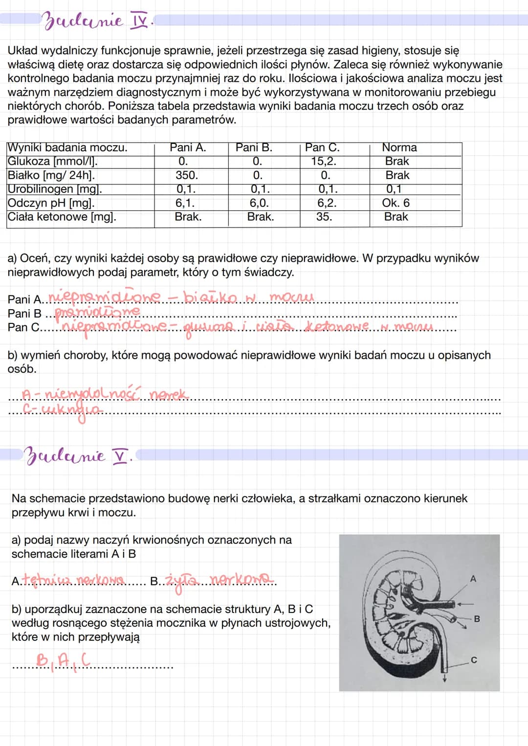Wklyel moczony
L> Hydalanie - usuwanie z organizmu zbędnych produktów przemiany materii (CO₂, H₂O, mocznik)
Lo usuwanie ksenobiotyków (subst