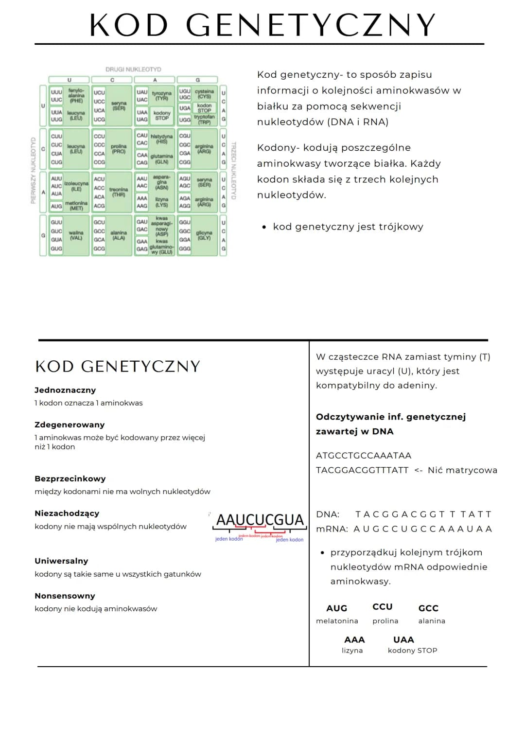 PIERWSZY NUKLEOTYD
U
U
UUU fenylo-
alanina
UUC (PHE)
CUU
CUC leucyna
CỦA(EU)
CUG
AUU
AUC
AUA
UUA leucyna
UUG (LEU) UCG
Izoleucyna
(ILE)
meti