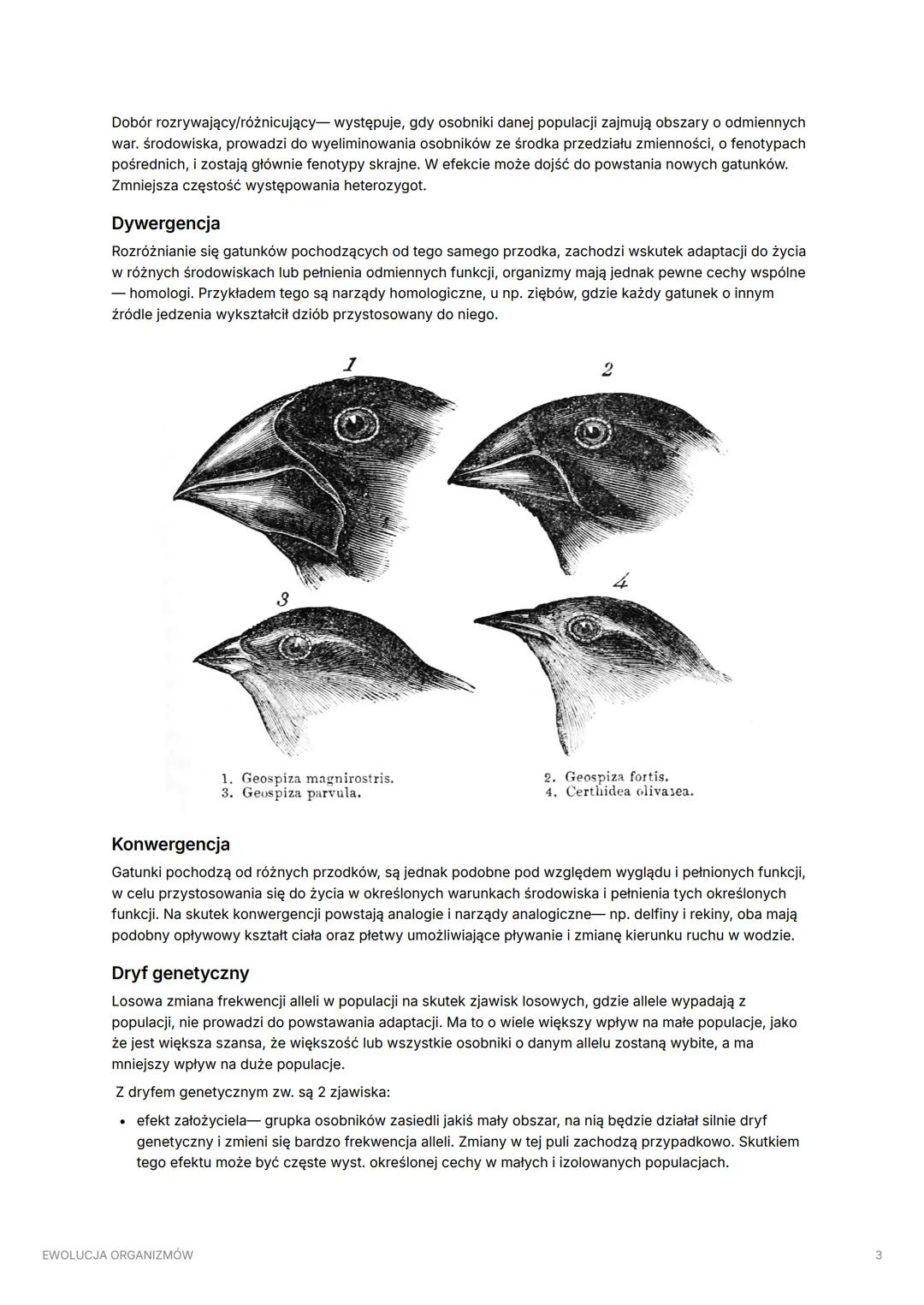 # EWOLUCJA ORGANIZMÓW

## Główne założenia teorii ewolucji:

Wewnątrz gatunku widoczna jest zmienność osobnicza pojedyncze osobniki się różn