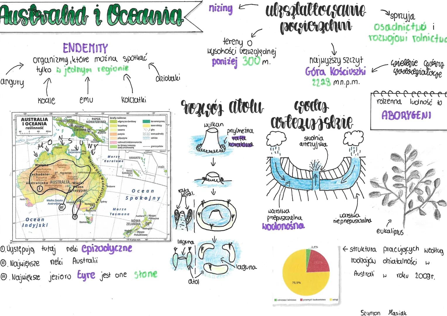 Austvalid i Oceania
ENDEMITY
organizmy, które można spotkać
tylko jednym regionie
angury
Koale
AUSTRALIA
i OCEANIA
roślinność
40
Wyżyne
INDO