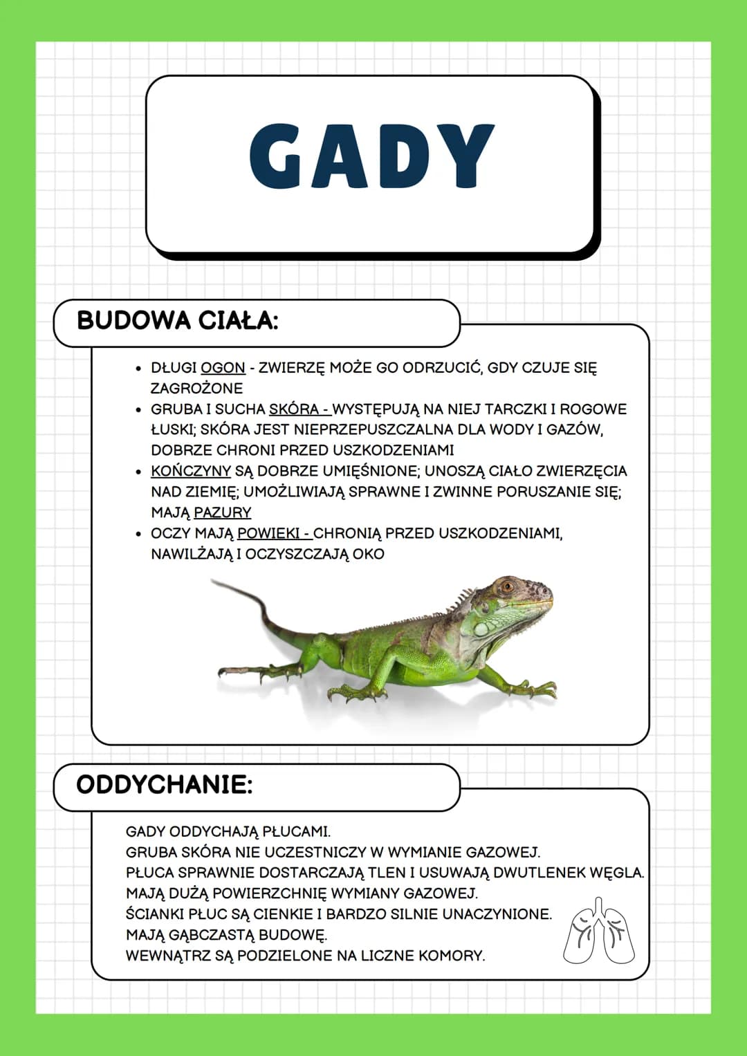 GADY
ŚRODOWISKO ŻYCIA:
WYSTĘPUJĄ NA WSZYSTKICH KONTYNENTACH OPRÓCZ ANTARKTYDY.
WOLĄ CIEPŁY KLIMAT, GDZIE MOGĄ BYĆ AKTYWNE PRZEZ CAŁY ROK.
NA