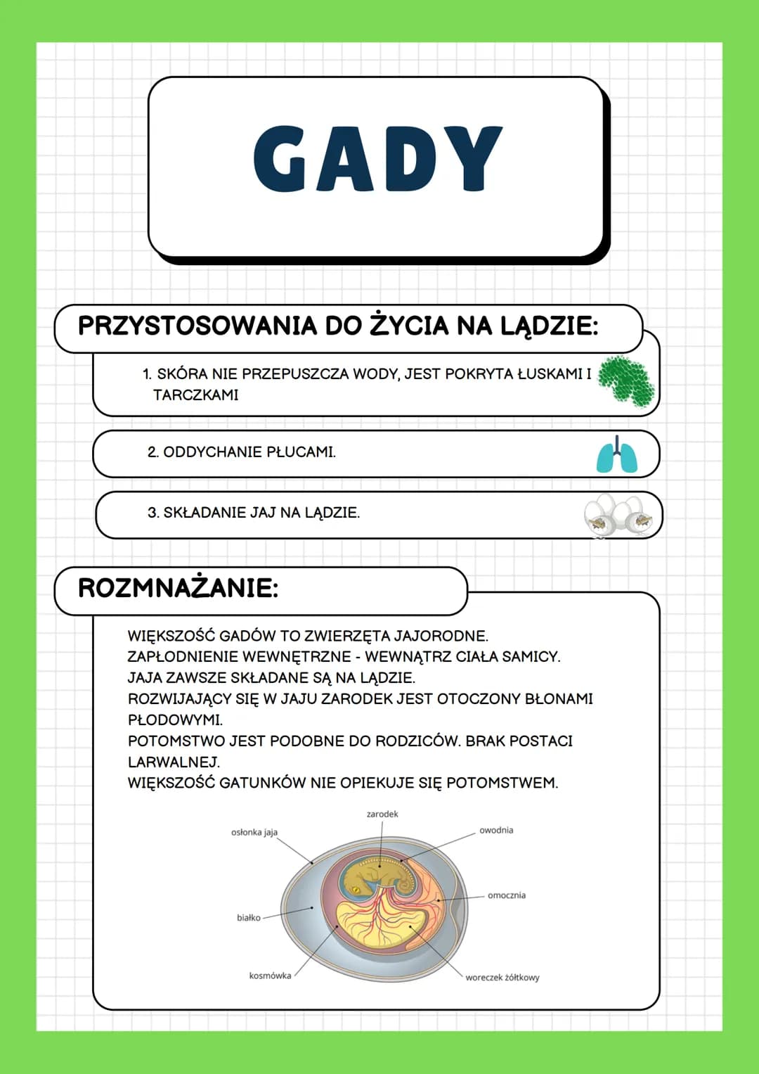 GADY
ŚRODOWISKO ŻYCIA:
WYSTĘPUJĄ NA WSZYSTKICH KONTYNENTACH OPRÓCZ ANTARKTYDY.
WOLĄ CIEPŁY KLIMAT, GDZIE MOGĄ BYĆ AKTYWNE PRZEZ CAŁY ROK.
NA