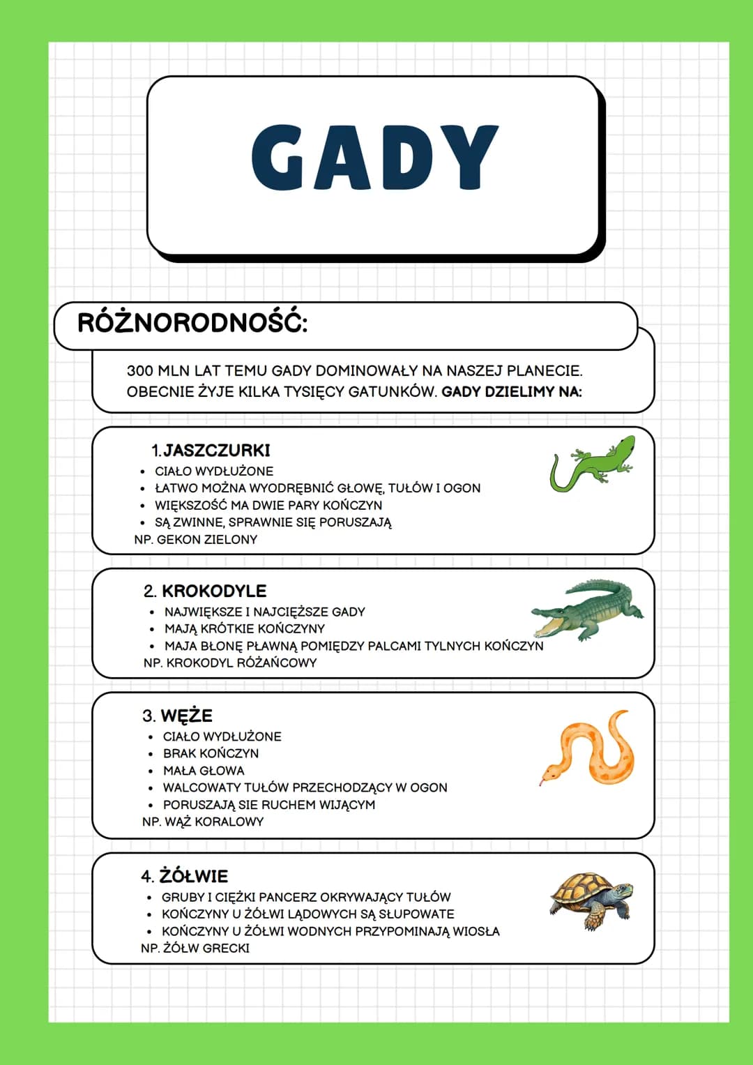 GADY
ŚRODOWISKO ŻYCIA:
WYSTĘPUJĄ NA WSZYSTKICH KONTYNENTACH OPRÓCZ ANTARKTYDY.
WOLĄ CIEPŁY KLIMAT, GDZIE MOGĄ BYĆ AKTYWNE PRZEZ CAŁY ROK.
NA