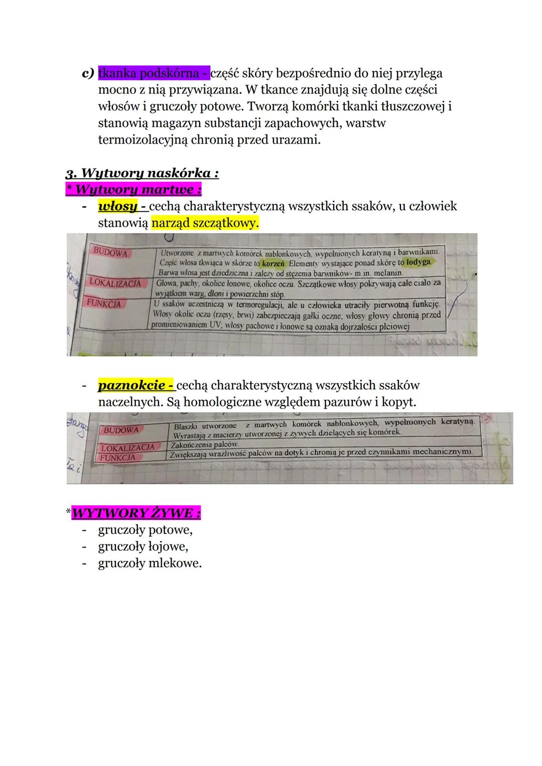 BUDOWA I FUNKCJE SKÓRY
1. Skóra to zewnętrzna powłoka ciała. Stosunek powierzchni skóry do
objętości ciała zmienia się w ciągu życia i najba