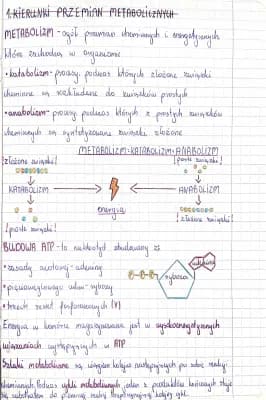 Know kierunki przemian metabolicznych thumbnail